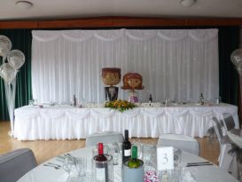 starlight backdrop and table skirt