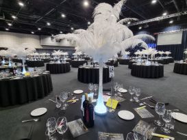 white ostrich feather displays manchester central1